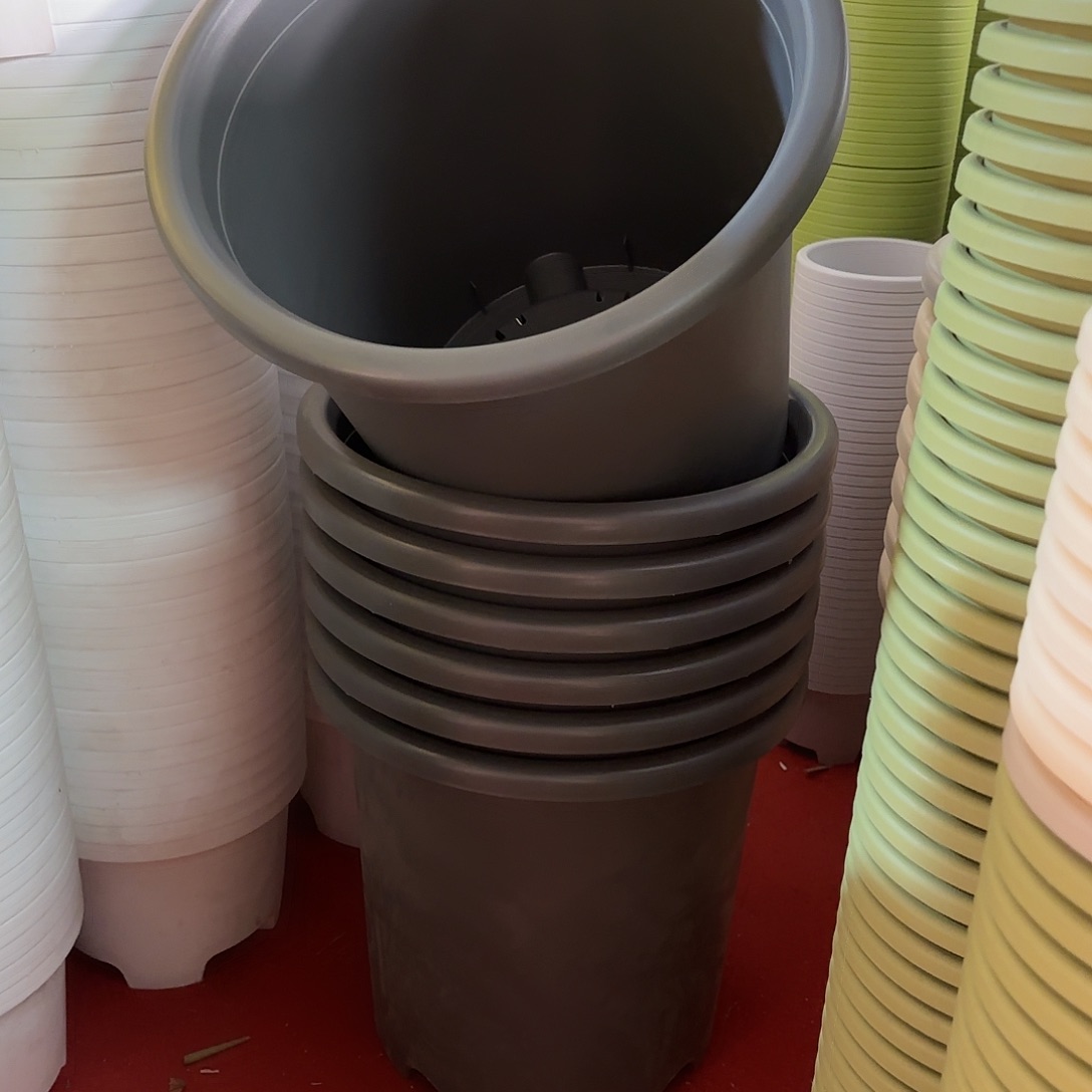 树脂四季8号带托2个果绿