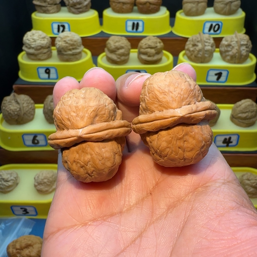 永***恒桃核把件金枪鱼核桃