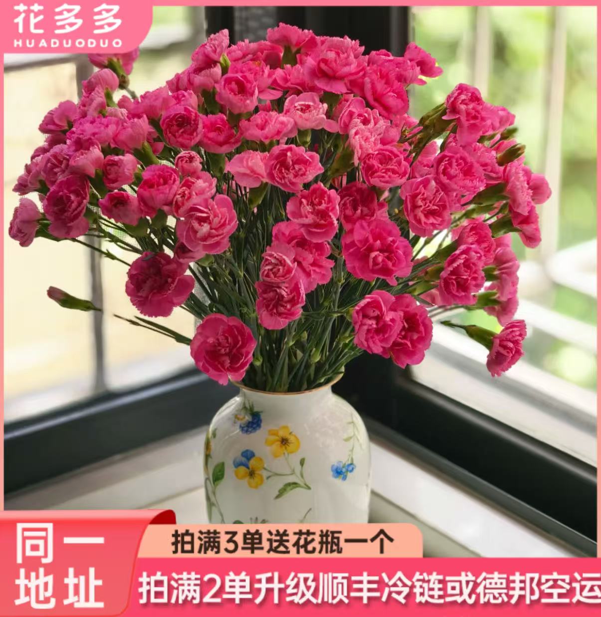 【红鸽子多丁20支】全场鲜花任意满两单升级冷链 三单送花瓶