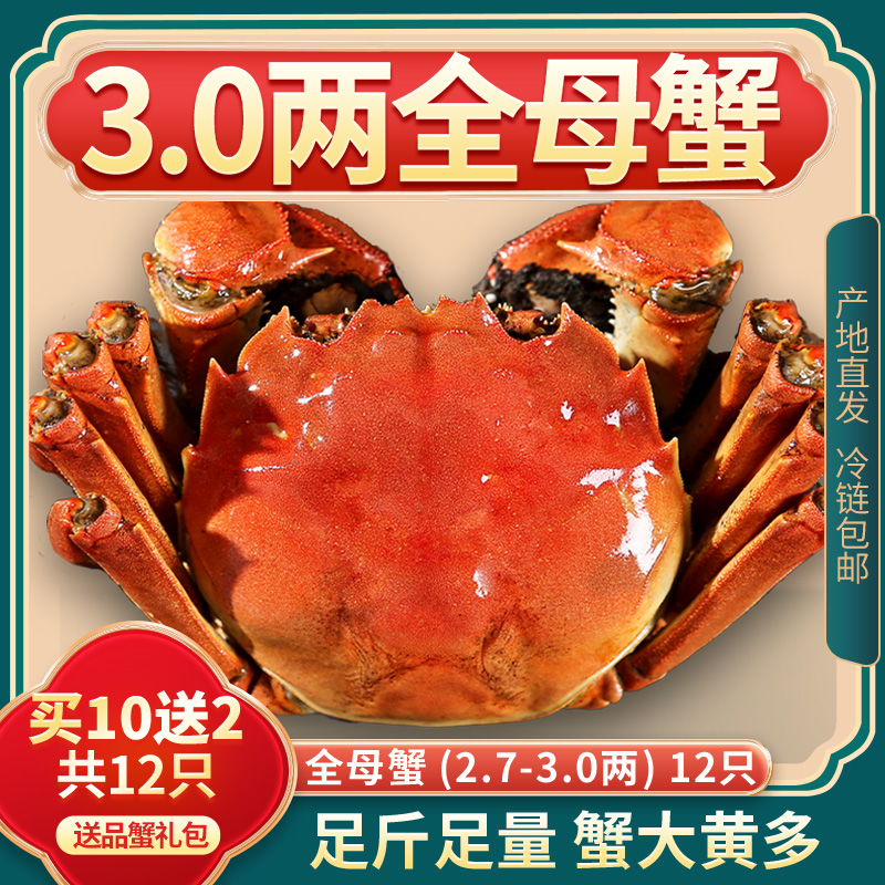 【活蟹】煌鲜尚品精品大闸蟹全母蟹2.7-3.0两8/10/12只鲜活礼盒装