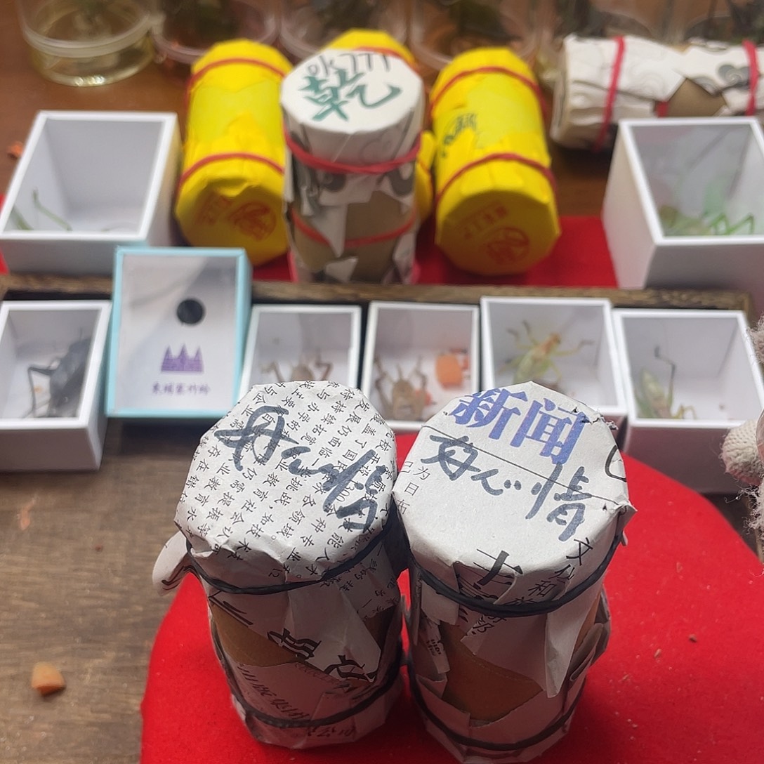 好***情蟋蟀新的一年希望自己能有个好的开始
