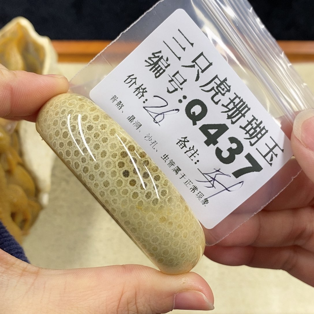 硅化珊瑚（珊瑚玉）1未镶嵌我****?