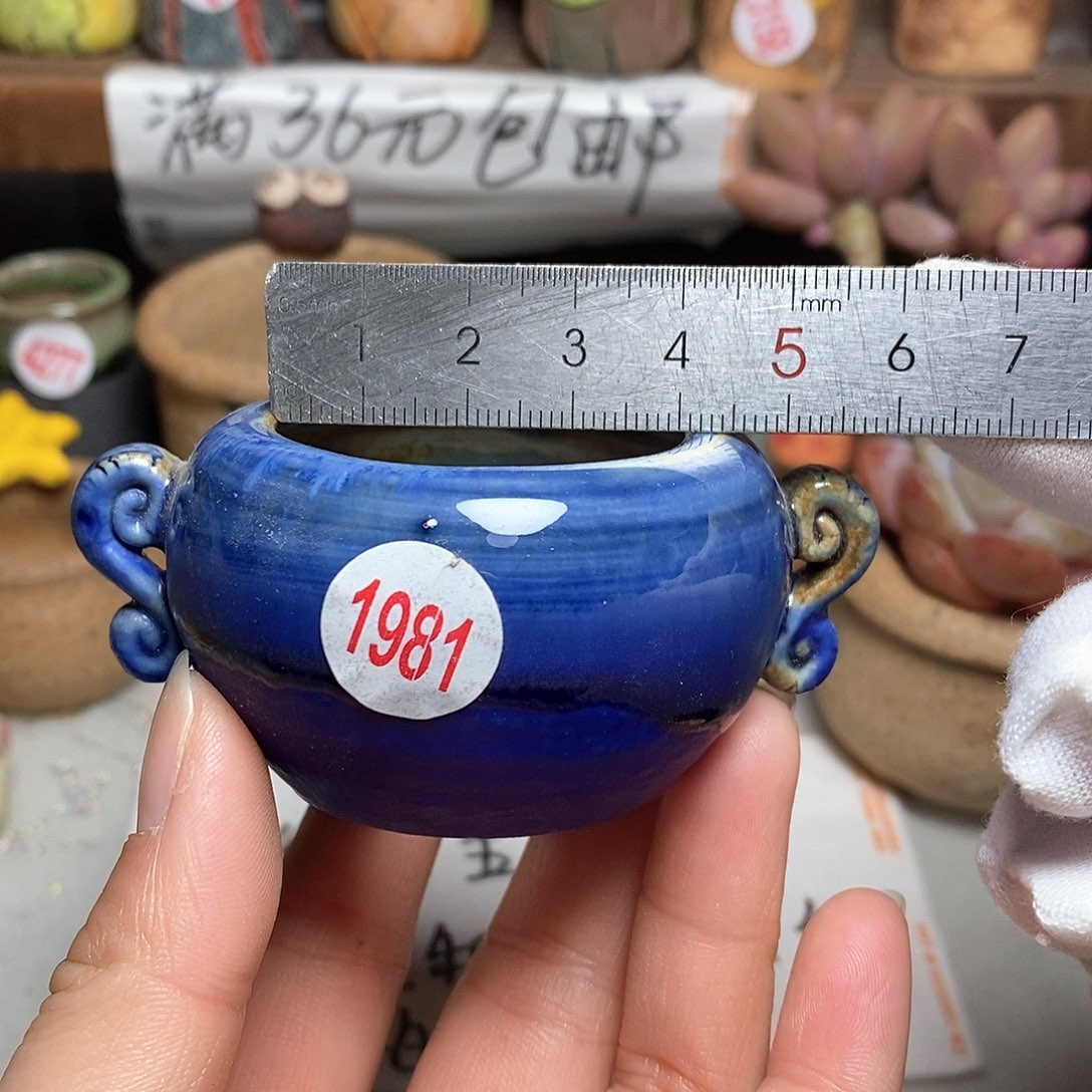 红陶拍5送一个小