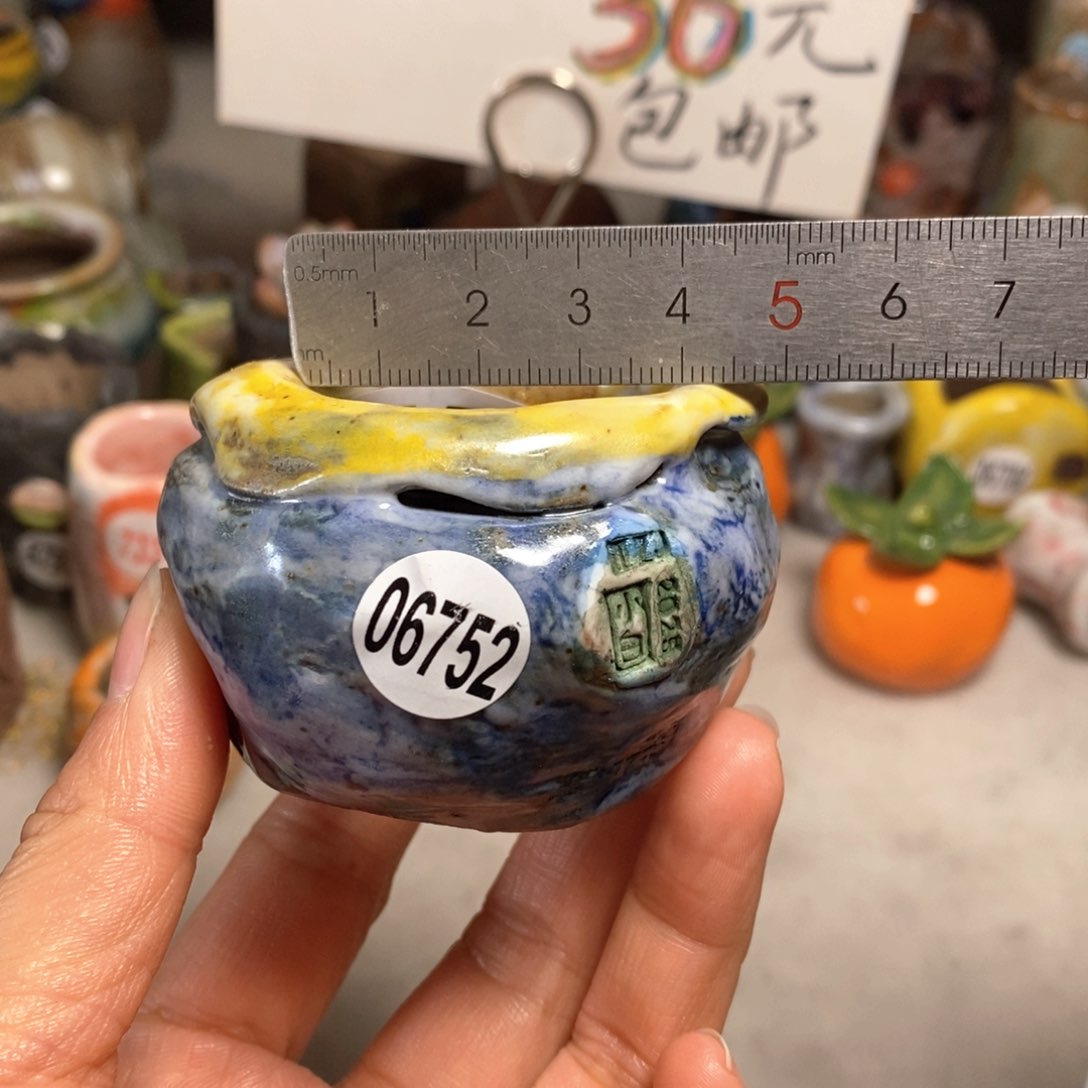 花盆拍3送一个小礼物