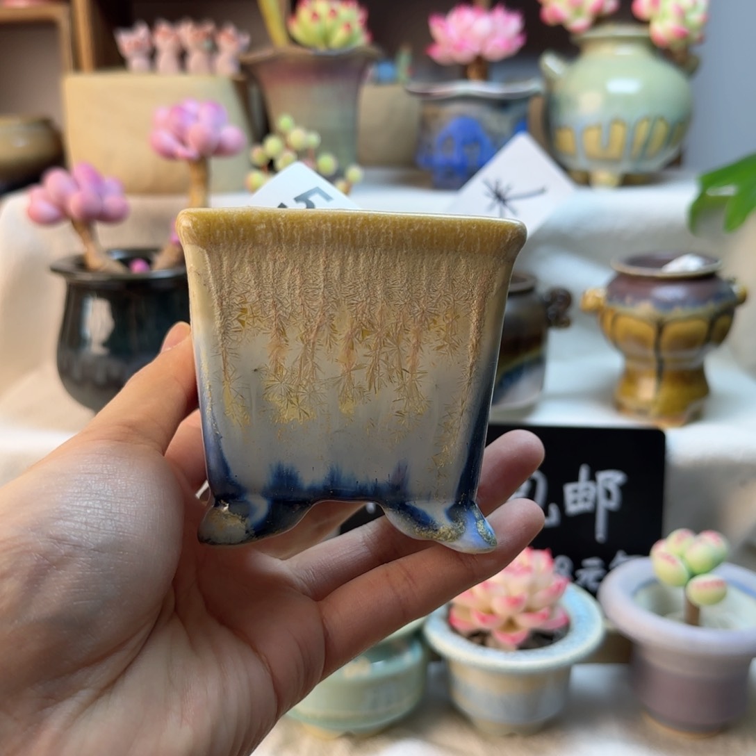 564。内口6cm。  非偏远两单包邮