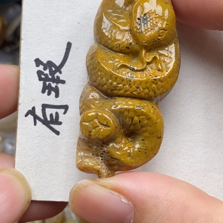 硅化珊瑚（珊瑚玉）未镶嵌颈饰