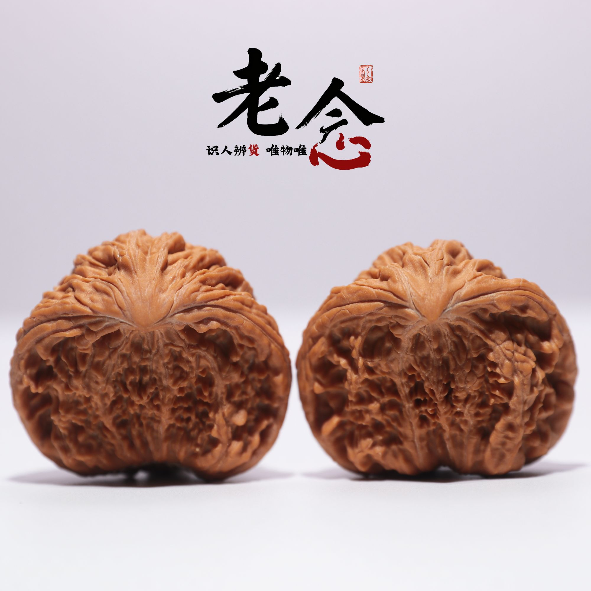 塔尖眼镜蛇 · 38-38-34 一物一图 文玩好物