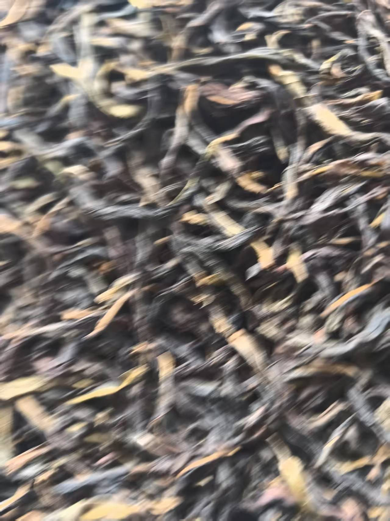 （已售完）狮凤乌岽李仔坪兄弟仔中熟（特价处理采点过）