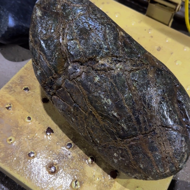 随***舞益茶堂祝您生活愉快