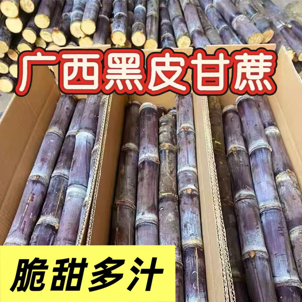 广西黑皮甘蔗新鲜现砍应季水果脆甜多汁薄皮包邮