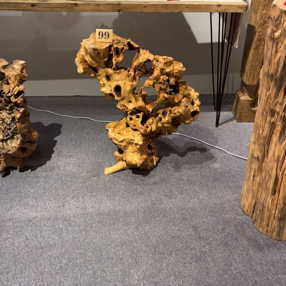 玩***ζ香榧木根艺艺术家和艺术248