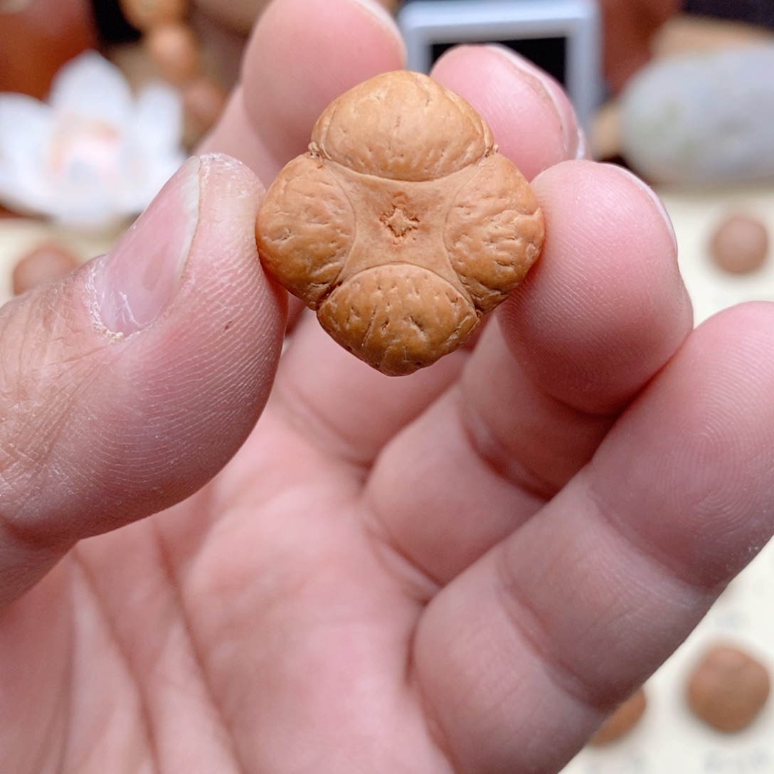 龙眼菩提吊坠梅花麒麟