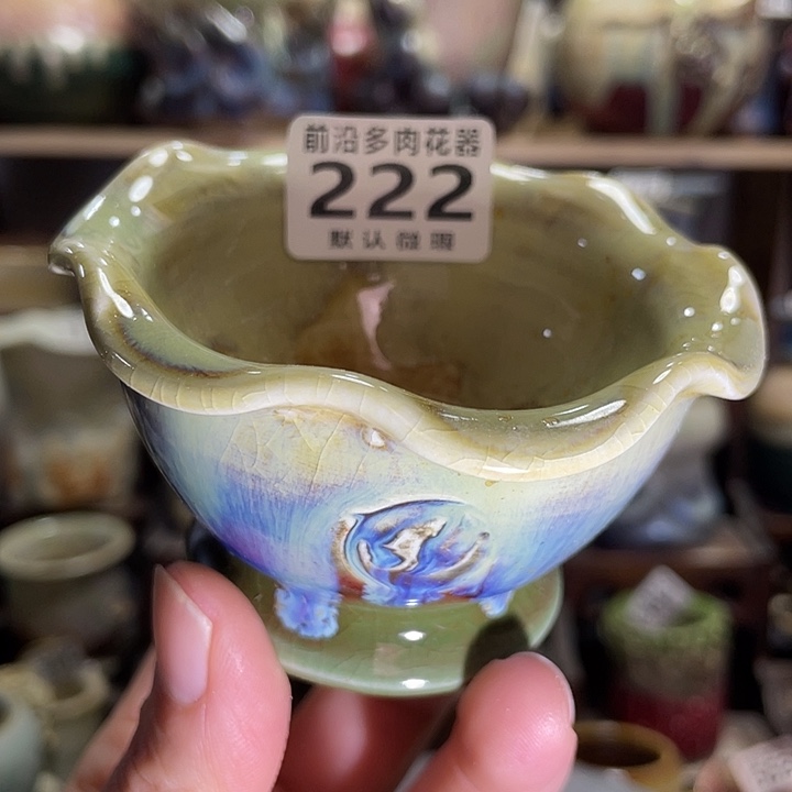 狼盆内口径6高度6