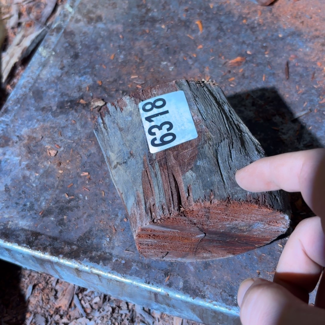 染料紫檀（血檀）6318