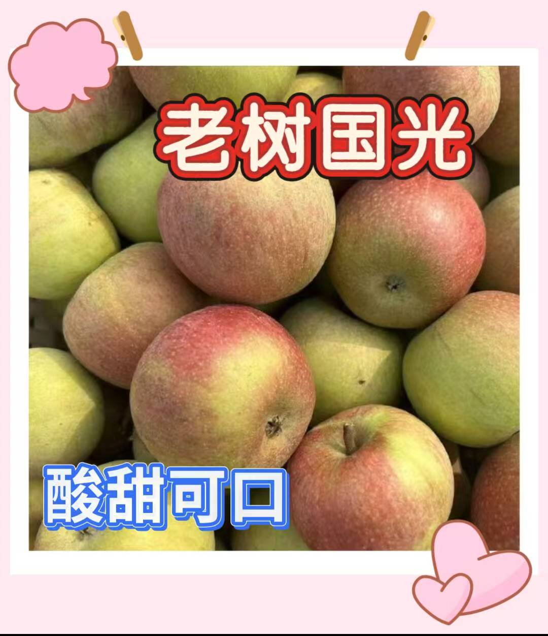 老树国光苹果酸小时候的味道