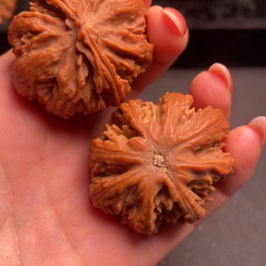 文玩核桃吊坠秦岭野生核桃