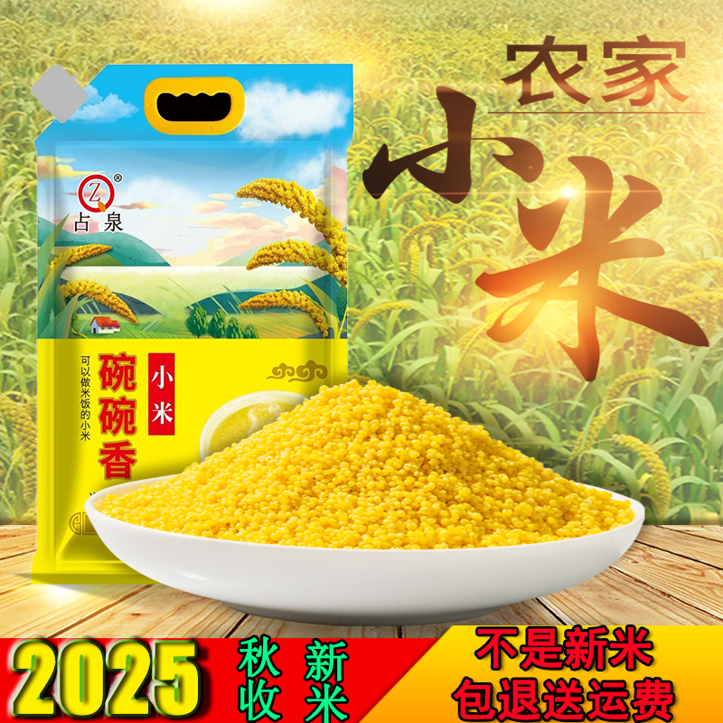 占泉碗碗香黄金苗小米辽宁朝阳建平直发