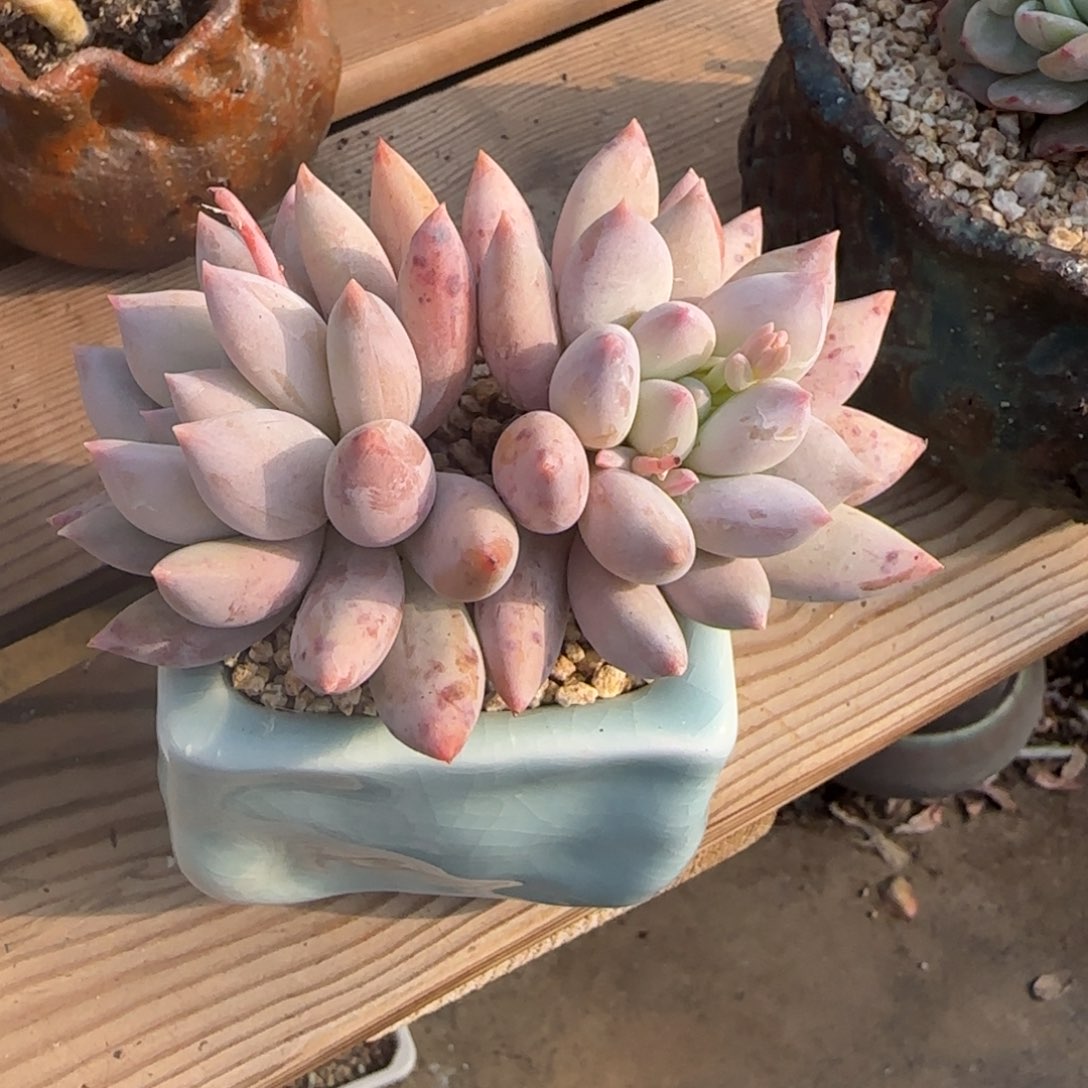 北遇福利68包邮自行凑单