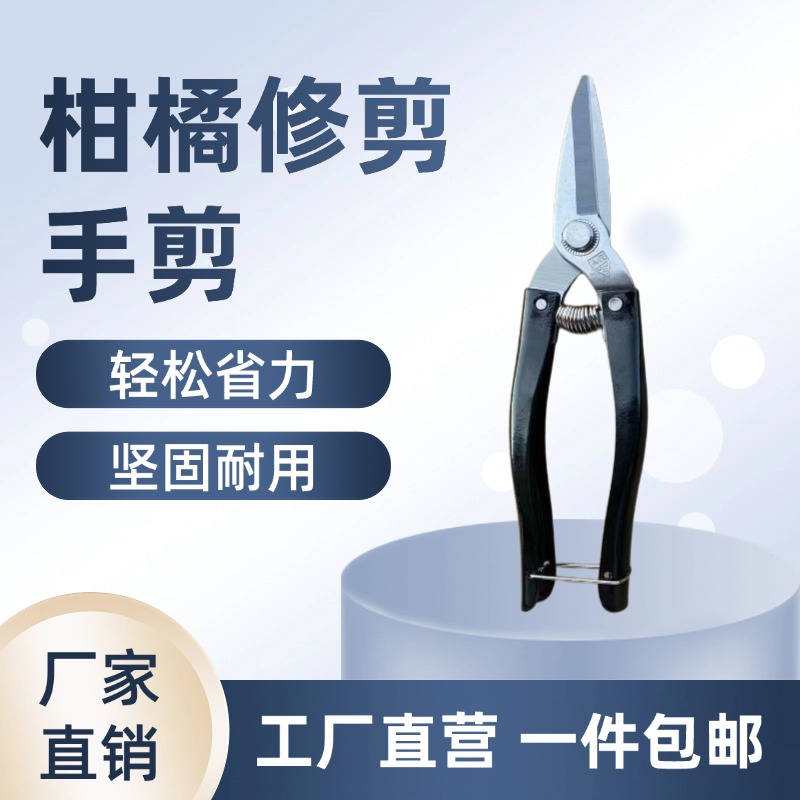 直播专享不锈钢多功能摘果剪修枝神器果园采果剪圆头果子剪