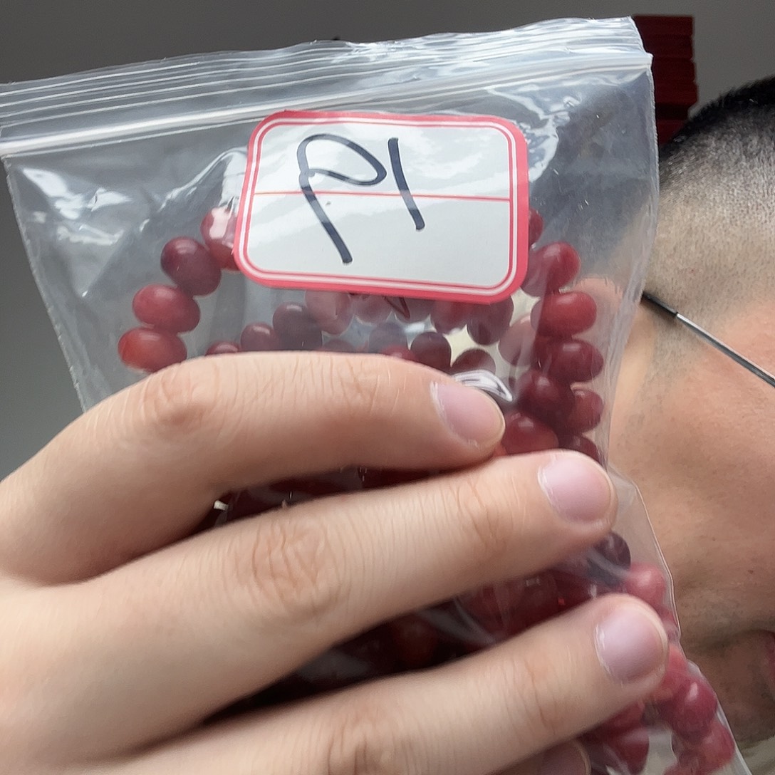 手串/手链橄榄核工艺品19