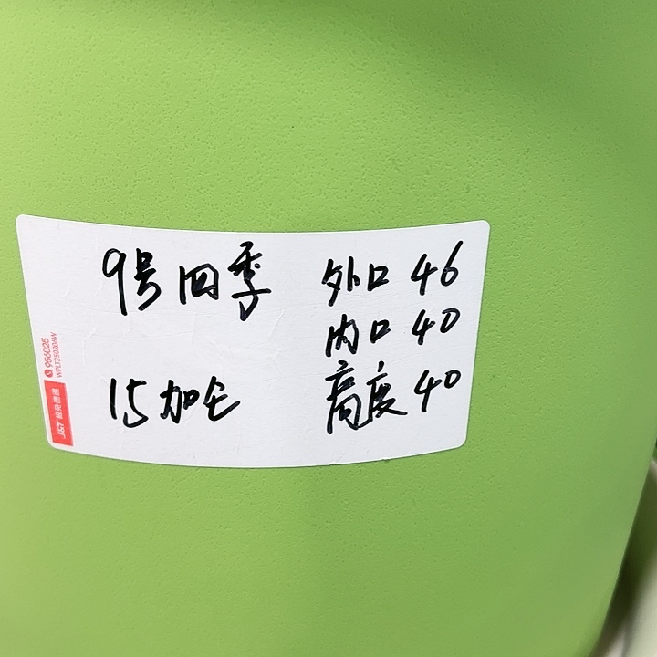 特价9号四季口46高40果绿色4个无托