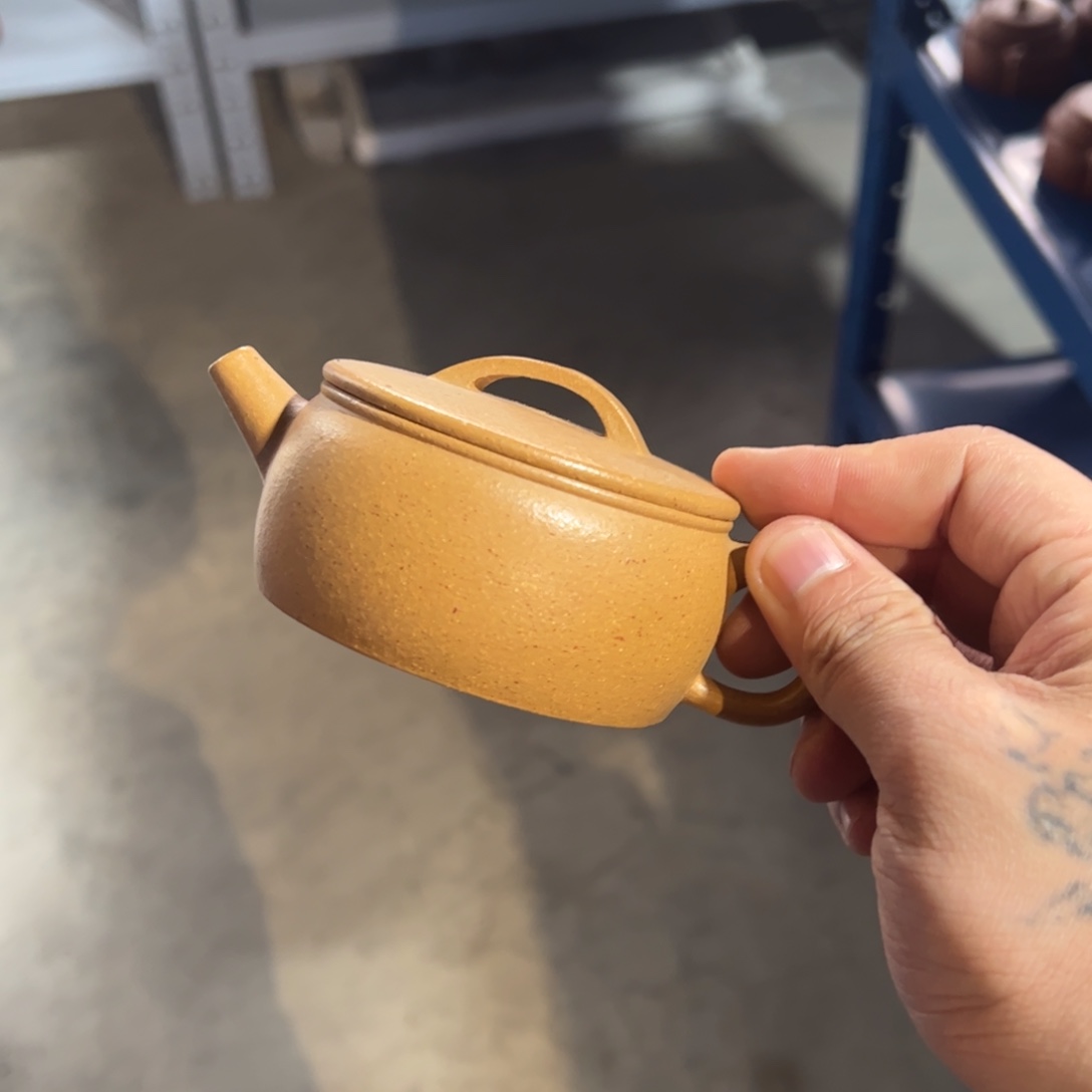 ………………………………………………………………