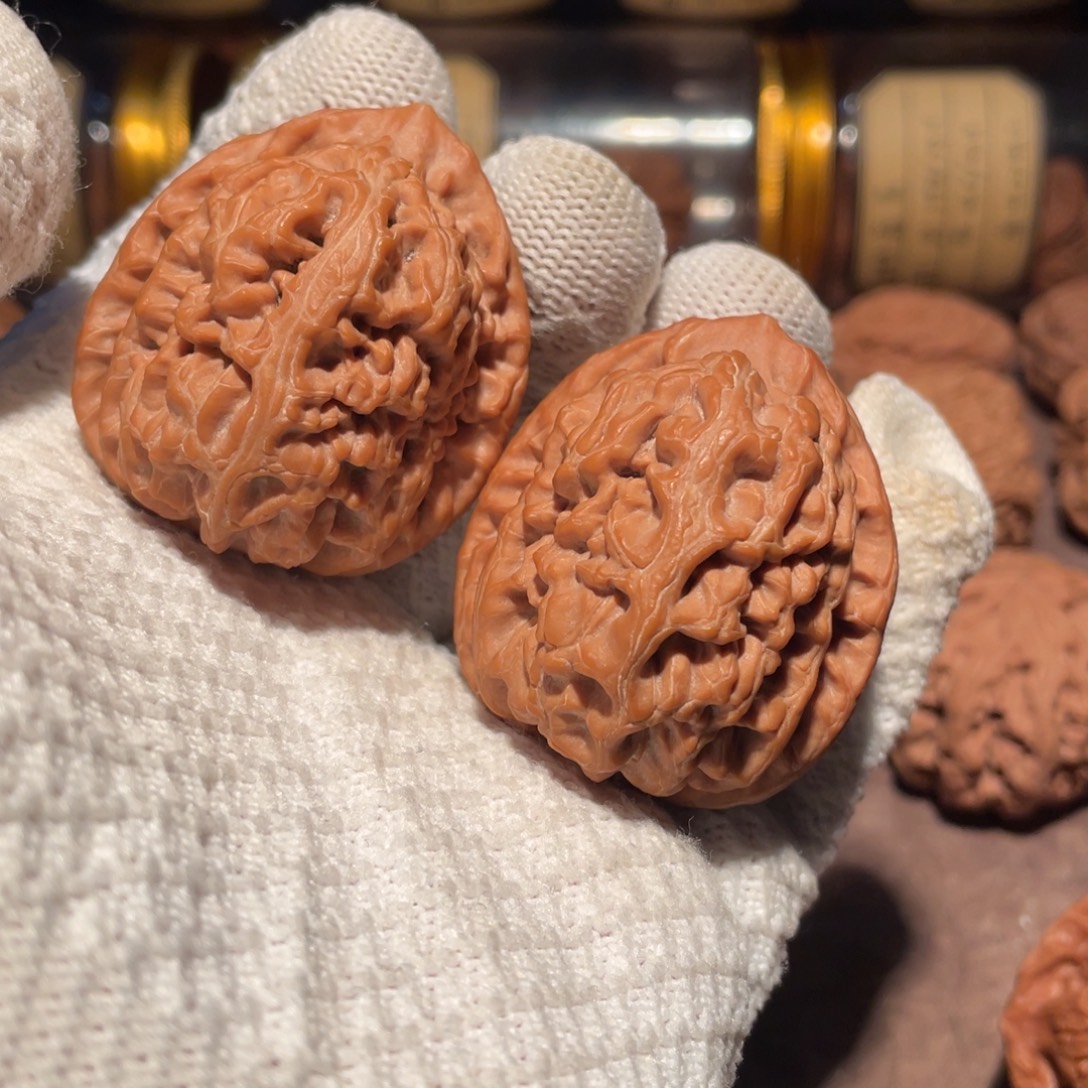 莲***把件文玩核桃边40肚42洪锦鲤