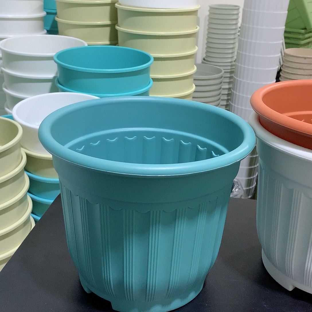 树脂罗马口24蓝4个无托