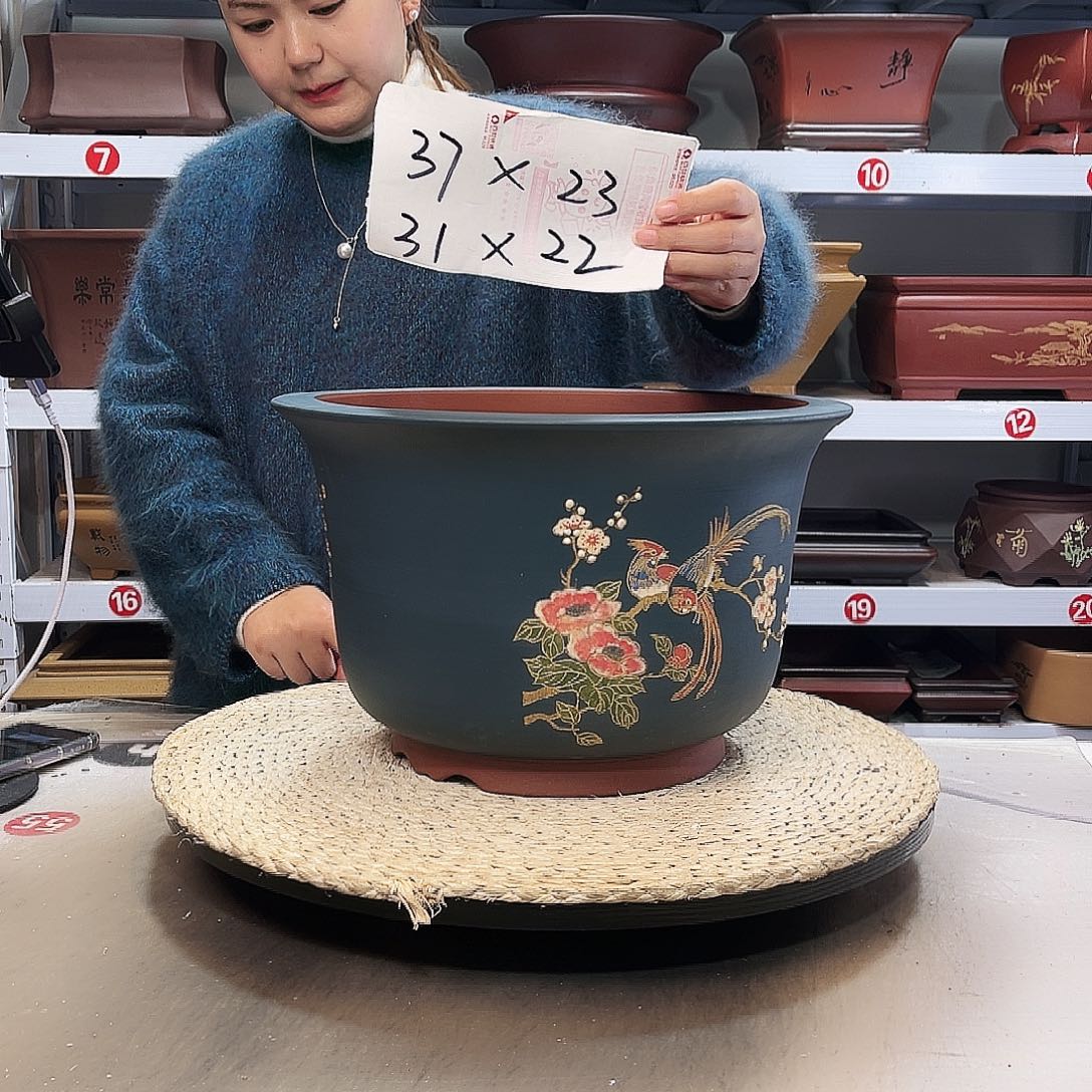 紫砂花盆紫砂花盆里