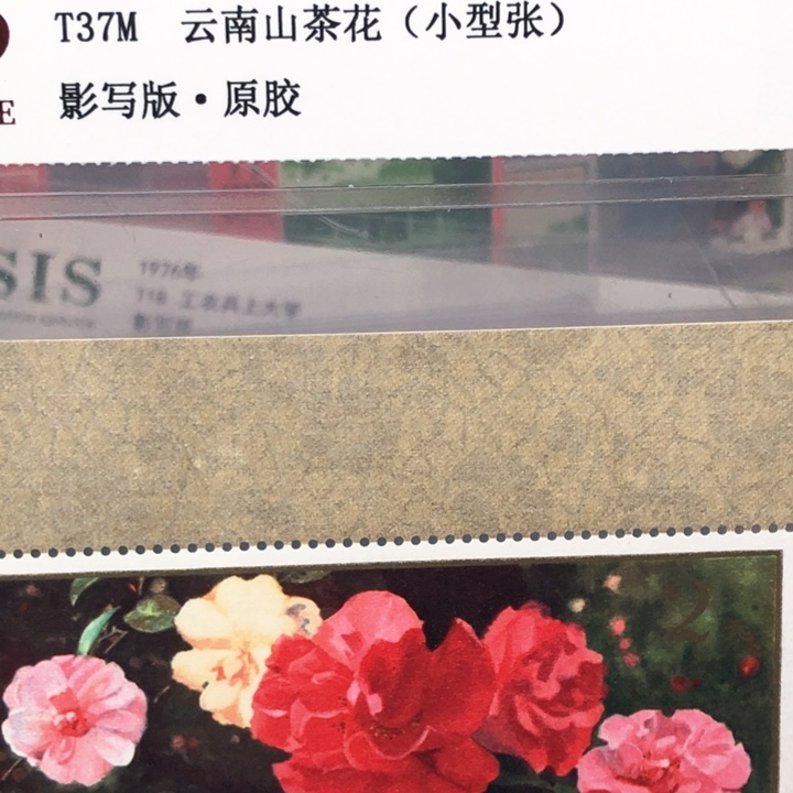 T37M小型张邮票原胶全品95