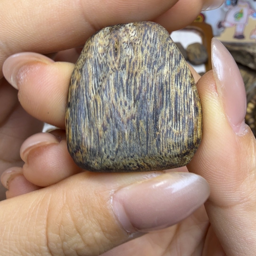 用***1沉香沉香碎屑乌身无事牌多样性发一个