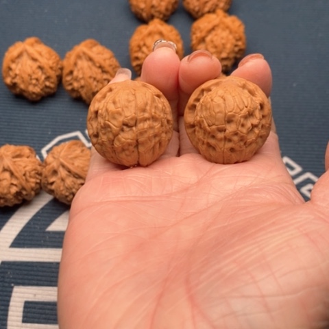 橄榄核手串/手链甲古文全品31