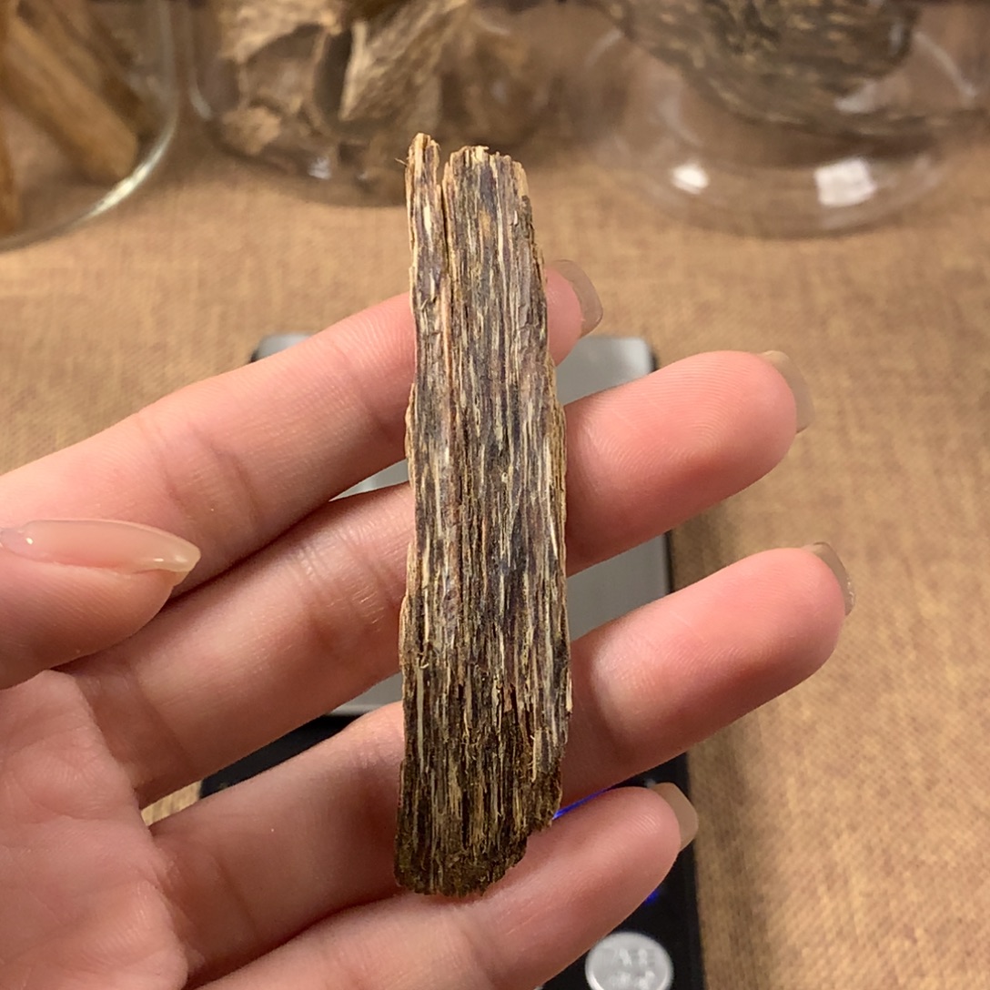 海南树心0.98克多样性发一