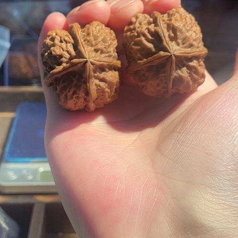 把件文玩核桃开山祖师带彩37