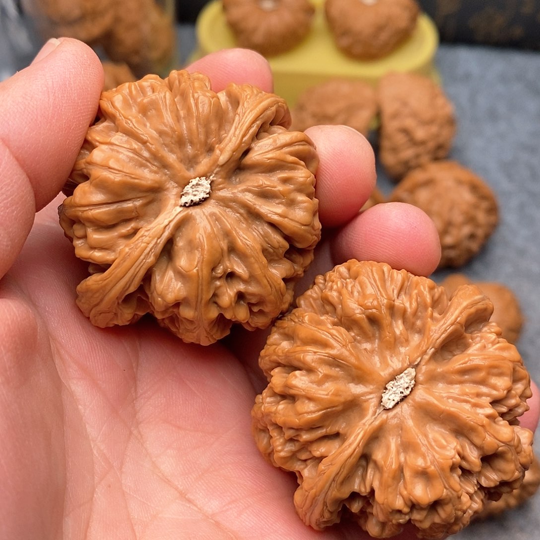 文玩核桃把件Y****c48全粗筋