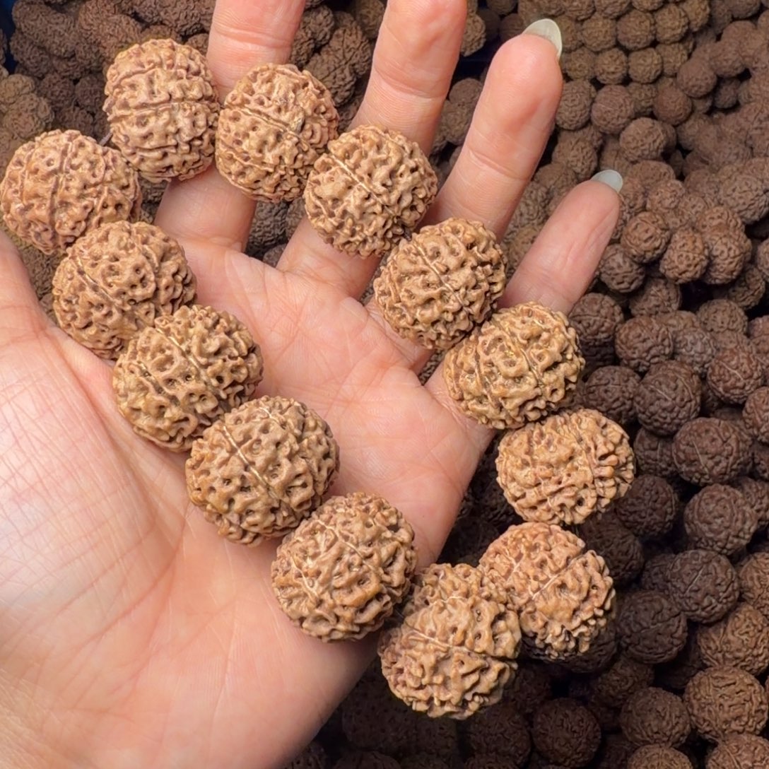 金刚菩提手串9瓣卡24尺，95号