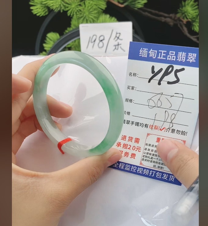 Y95缅甸翡翠手镯处理198/条【一物一证】实物以直播间为准