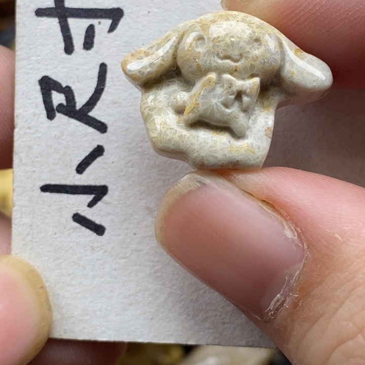 硅化珊瑚（珊瑚玉）未镶嵌颈饰