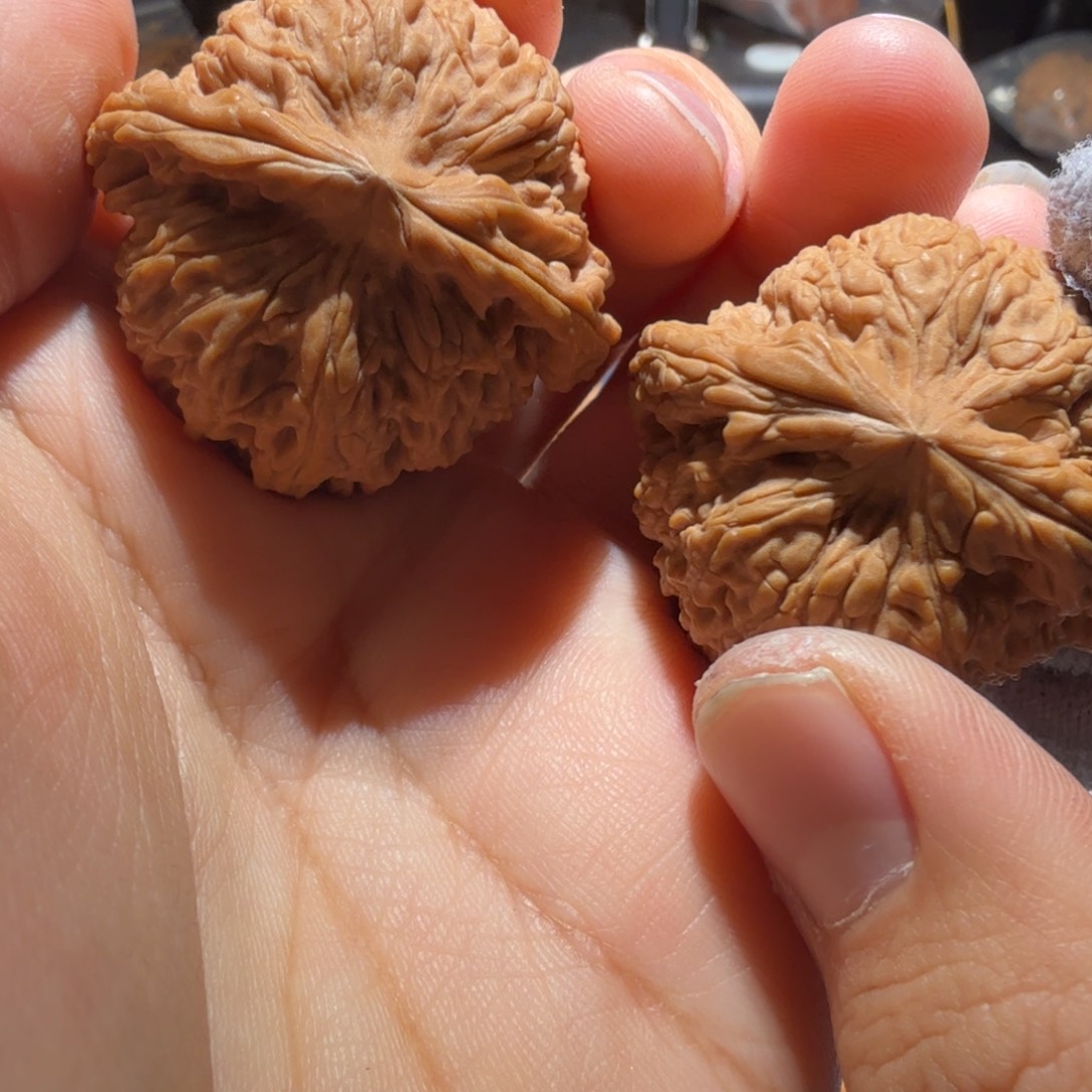 把件文玩核桃南疆