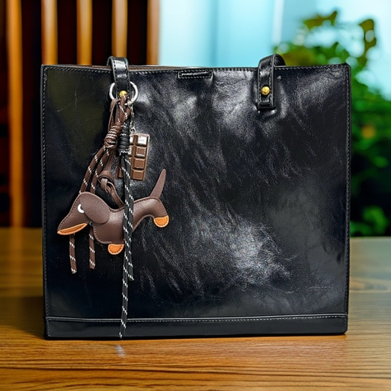 新品轻奢百搭高级感气质时尚斜挎女士包A17