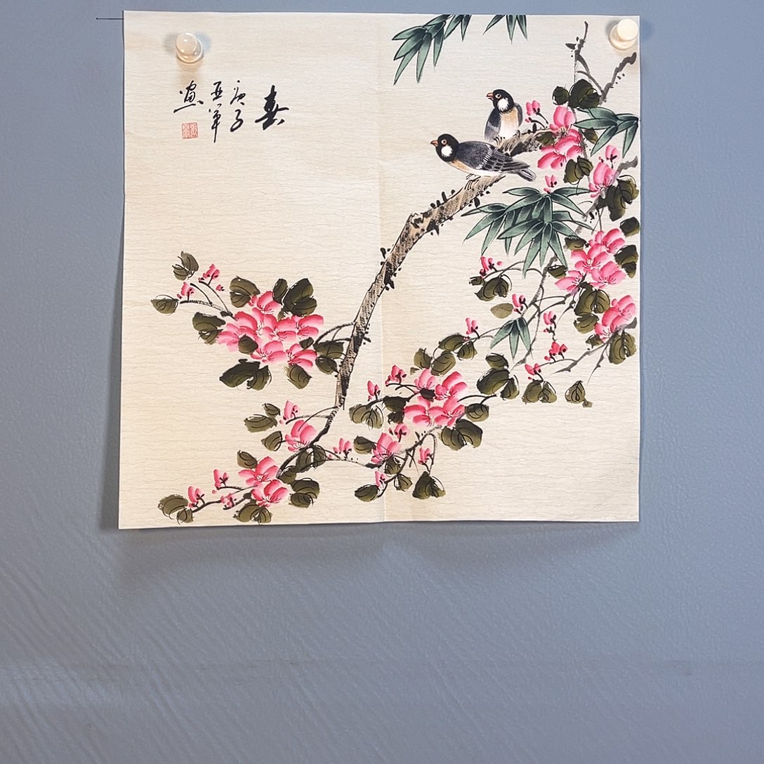 国画435 花红艳绿之美称的白