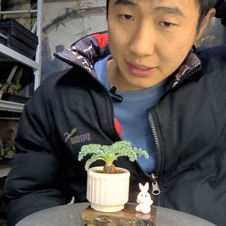 “****ˎ中青园艺一物一拍花275