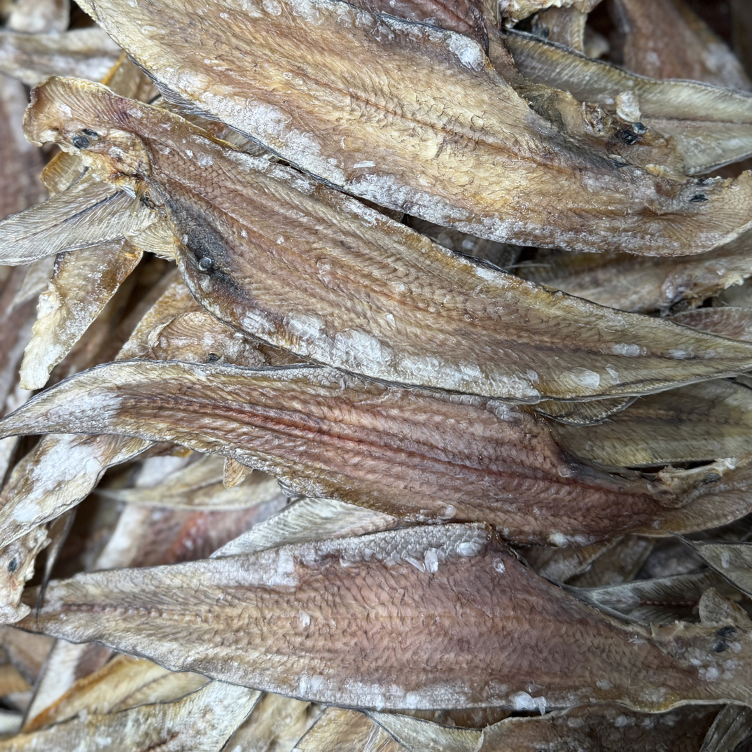 碣石渔民自晒淡干龙舌鱼脯