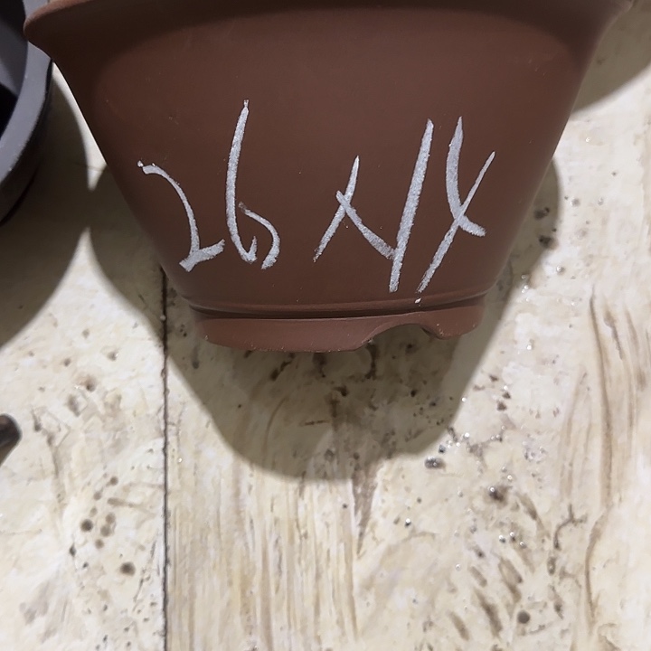 紫砂花盆破损包赔