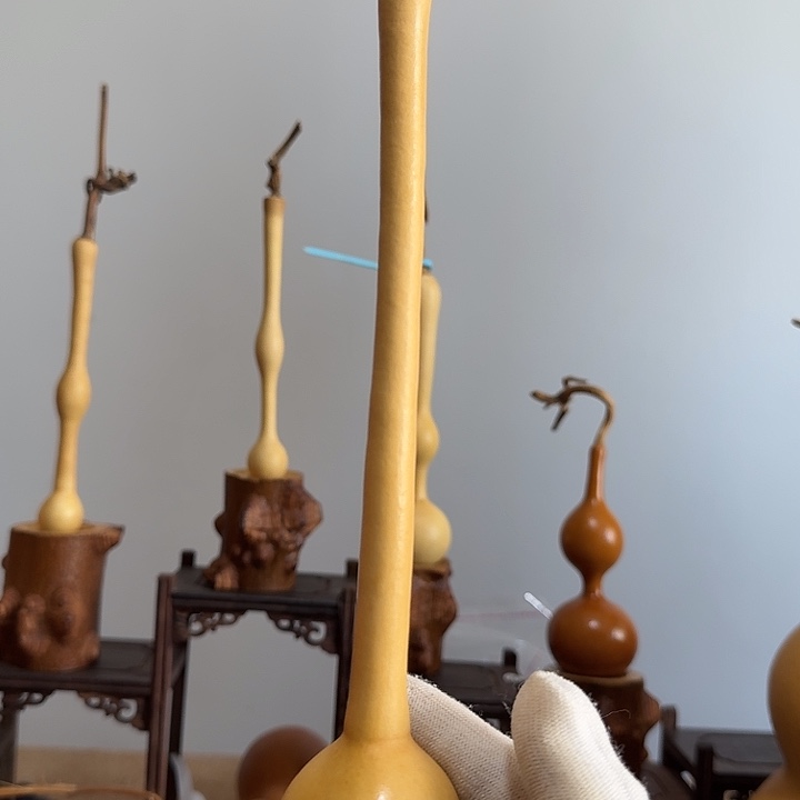 无***言大叶紫檀（黑酸枝木类）