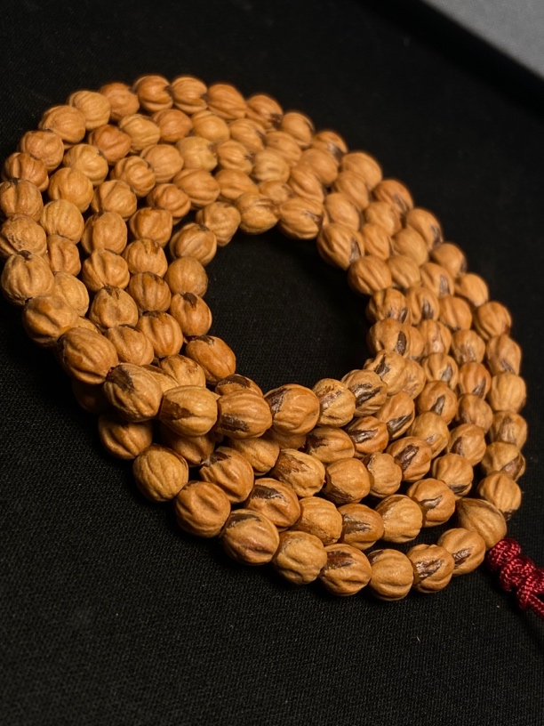 百香籽经典原装红芽高油高密金豆“赤血龙吟”5.5+mm108长串