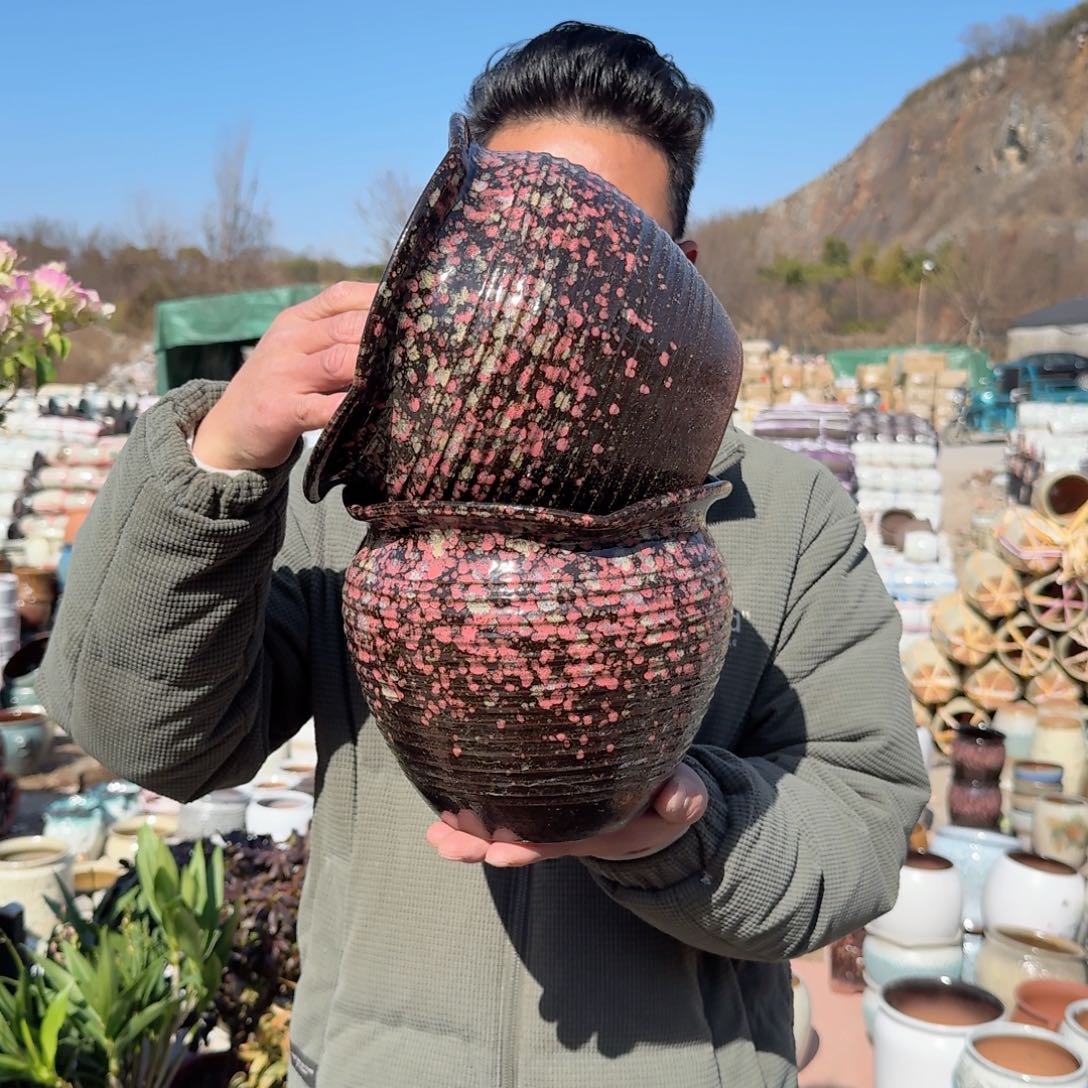 紫砂花盆口20高18（两个花边口红色沈