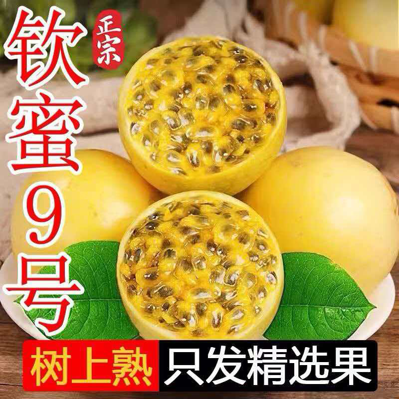 正宗广西钦蜜9号百香果新鲜中大果当季香甜多汁水果