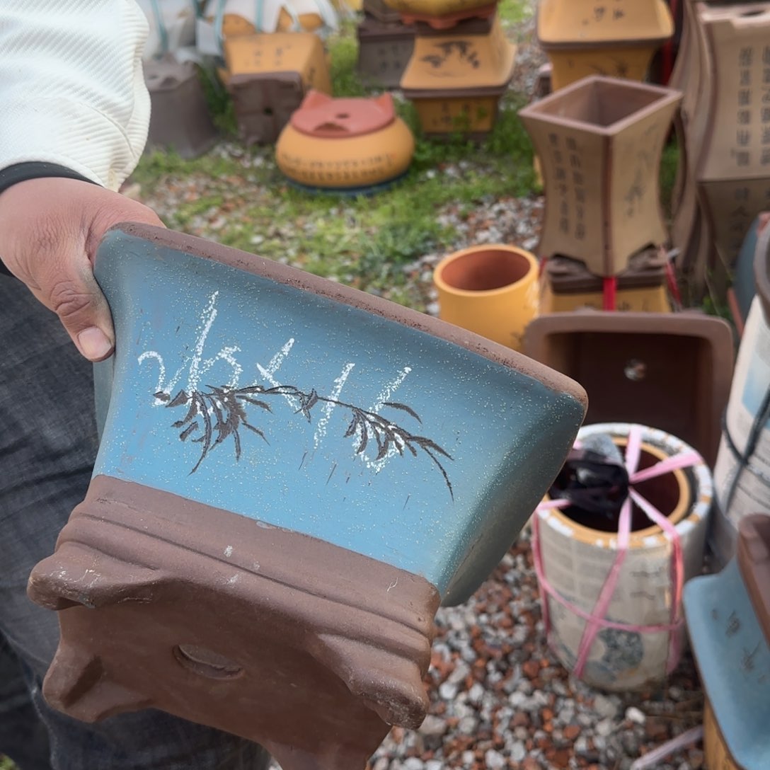 紫砂花盆花盆盆景盆栽