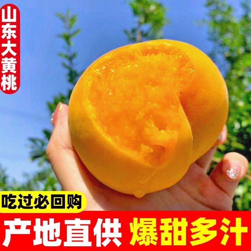 【次日达 顺丰】头茬山东正宗蒙阴纯甜大黄桃鲜果锦绣应季爆甜黄毛黄金蜜黄桃新鲜水果YX山东省